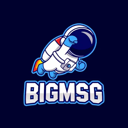 Aplikasi bigmsg Terbaru dan Terlengkap dan dmd999: Rangkuman Brand yang Banyak Dicari